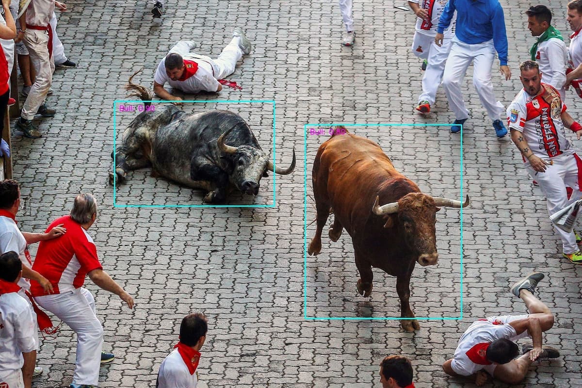 Bull Detection project screenshot